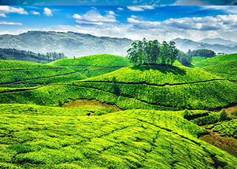 MUNNAR